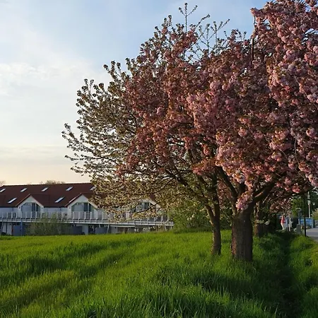 شقة Ocean View Ostsee Hohenkirchen, 17 *